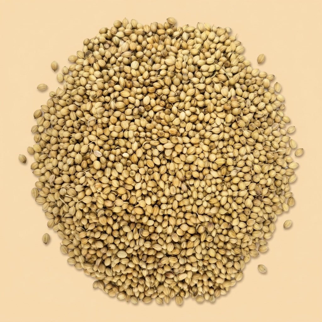 Coriander Seeds thumbnail 2